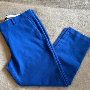 Ann Taylor Vibrant Blue Pant size 12